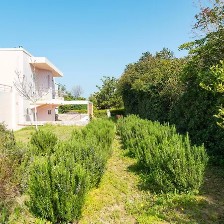 Kos Dream Beachwalk Casa vacanze *
