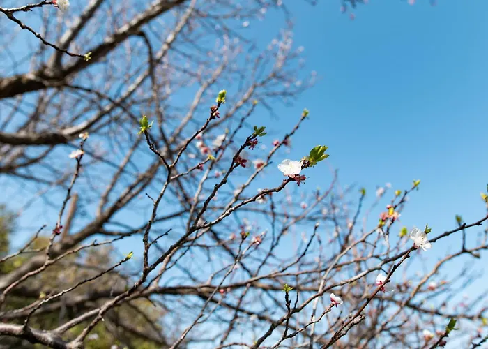 بيت للعطل Kos Dream Family In Kos Zipárion