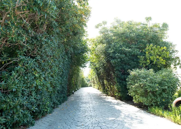 Kos Dream Family In Kos *