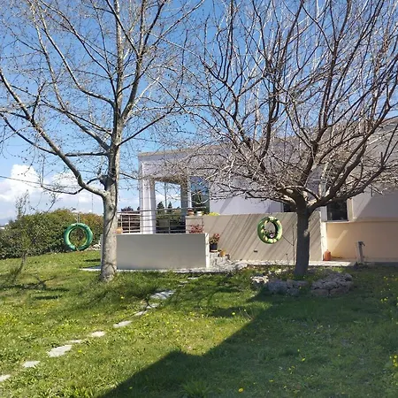 Kos Dream Beachwalk * Zipárion