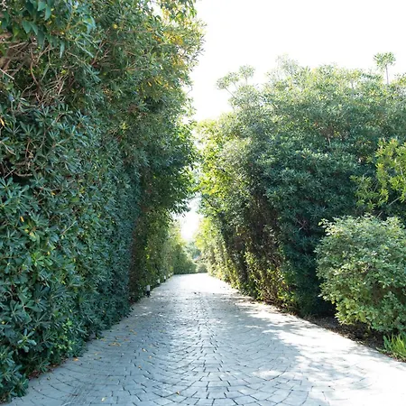 Kos Dream Beachwalk *